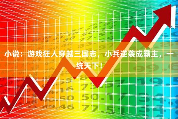 小说：游戏狂人穿越三国志，小兵逆袭成霸主，一统天下！