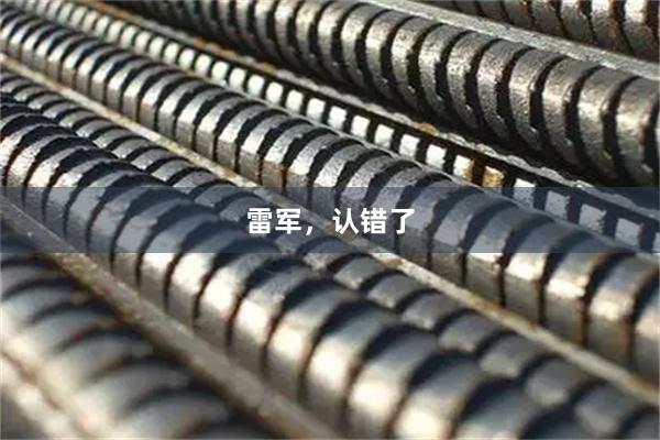 雷军，认错了