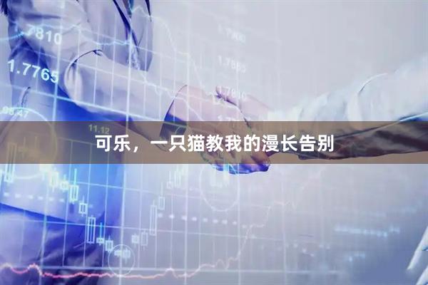 可乐，一只猫教我的漫长告别