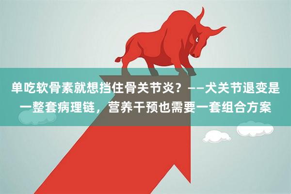 单吃软骨素就想挡住骨关节炎？——犬关节退变是一整套病理链，营养干预也需要一套组合方案
