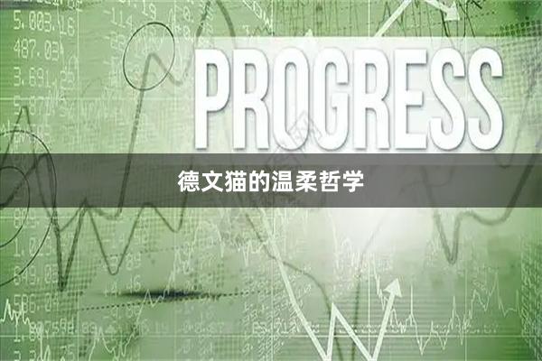 德文猫的温柔哲学