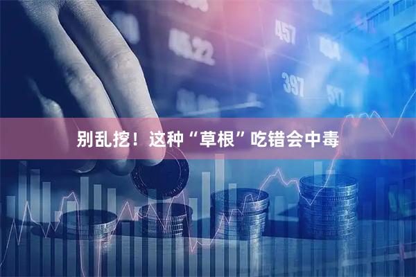 别乱挖！这种“草根”吃错会中毒
